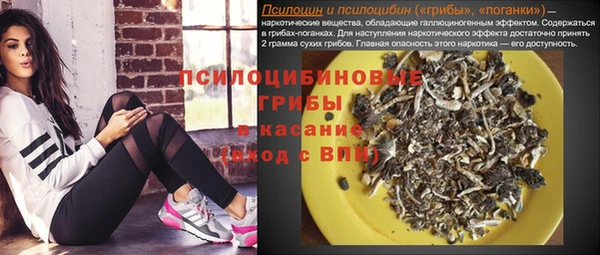 прущие крисы Нефтекумск