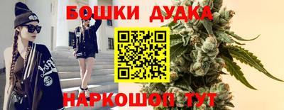 PSILOCYBIN Пушкино