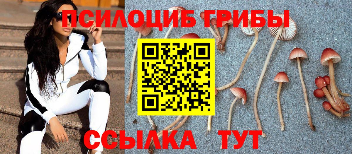 Псилоцибиновые грибы Cubensis Шебекино