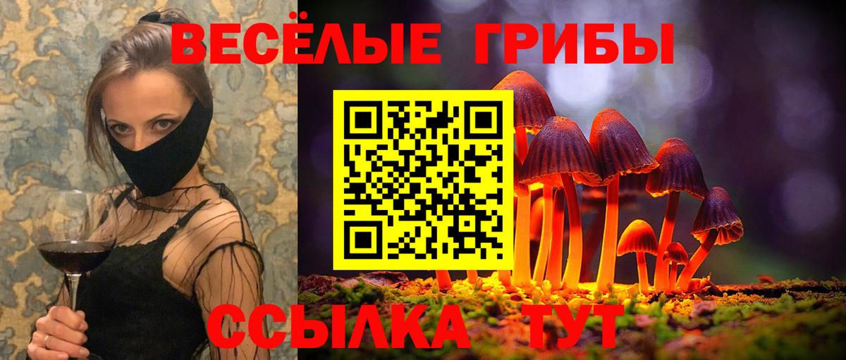 Псилоцибиновые грибы мицелий  Вход с VPN  Псилоцибиновые грибы ЛСД  Шебекино 